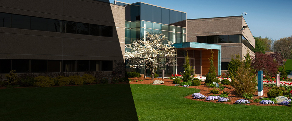 Zebulon Landscapers
