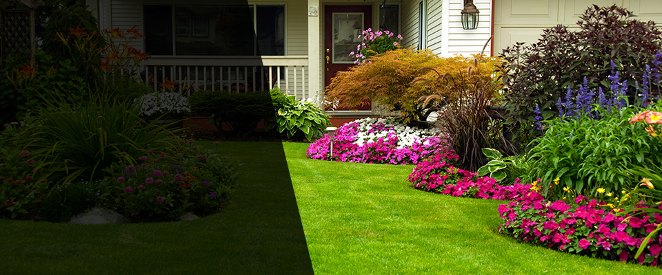 Zebulon Landscapers