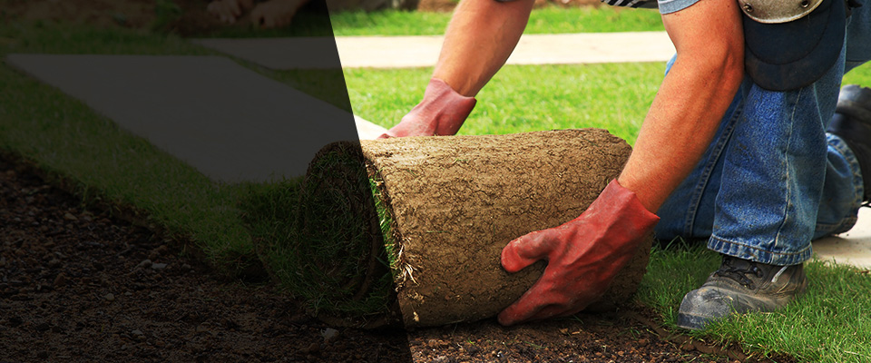Zebulon Landscapers